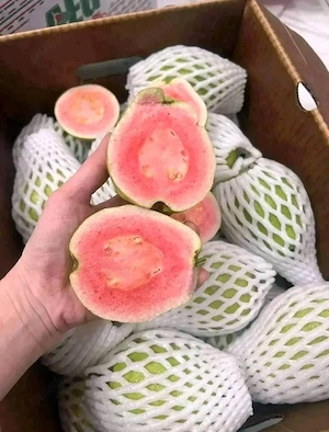 Frische indische Früchte   Mango, Amla & mehr Direkt verfügbar Bild 2