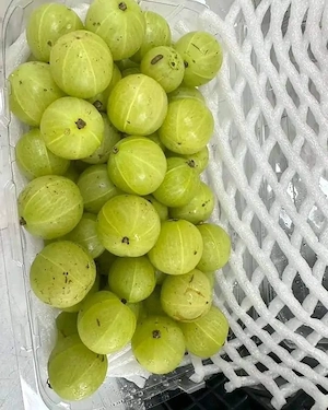 Frische indische Früchte   Mango, Amla & mehr Direkt verfügbar Bild 3