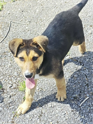 Machst du mir Hoffnung auf ein schönes Zuhause?