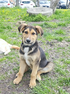 Machst du mir Hoffnung auf ein schönes Zuhause?