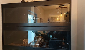 LHC Königspython - Tower  Doppelterrarium von