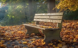 Su junge neugierige Sie 18+ für gelegentliche Outdoortreffen