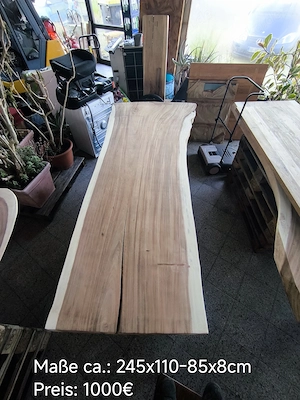 Tischplatte Tisch Esstisch Schreibtisch Konferenztisch massiv Suar Holz Baumkante Bohle Baumscheibe