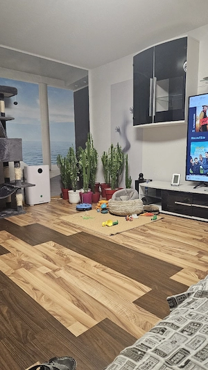 0 Euro Mitbewohnerin gesucht  Bild 5