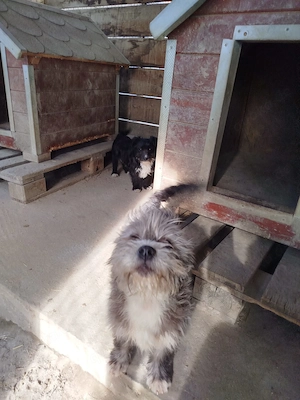 Frieda - kleiner Wirbelwind mit großem Entdeckerherz