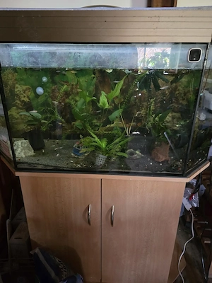 Aquarium mit Unterschrank zu verschenken