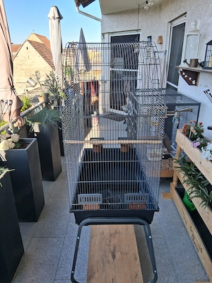 Vogelkäfig 