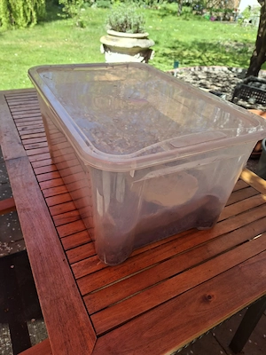 Wurmkiste einschl. Würmer