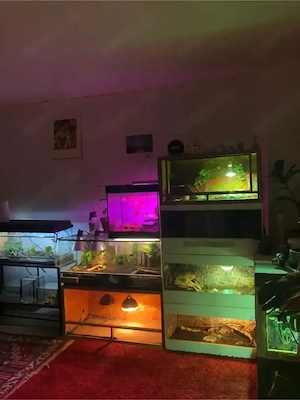 Ein sicheres Zuhause für deine Tiere   mit Herz und Erfahrung  