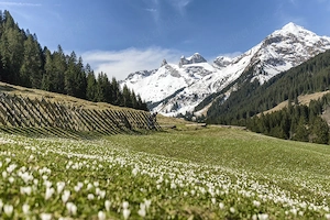 Reisepartner (w m) gesucht für eine Kleingruppenreise (Wandern   Natur - Relaxen)