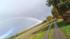 ich suche einen kleinen Hund