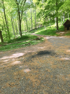 Ganz normale Frau gesucht