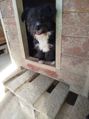  Freddy   vorsichtiges Herz auf der Suche nach Vertrauen