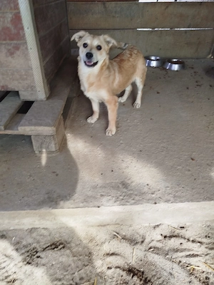 Finia   ein Lächeln, das Herzen öffnet