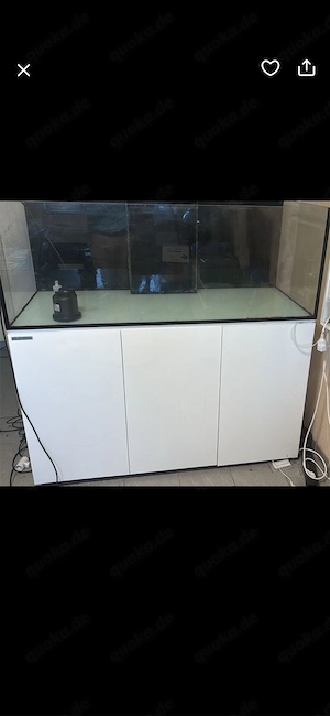 Aqua Medic Armatus 575 xd, Meerwasser, Aquarium, Korallen