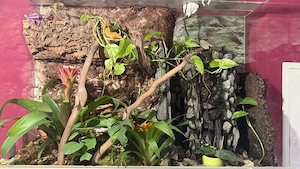 Terrarium 100x80x40 mit wasserfall 