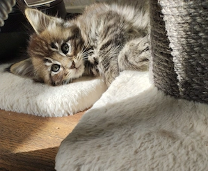 Noch ein kleiner Kerl 