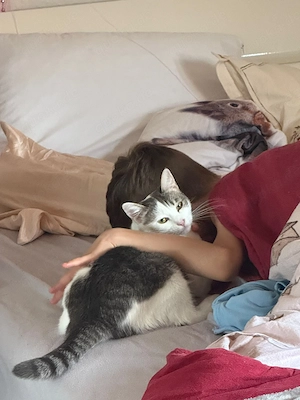 unglaublich anhängliche, neugierige junge Glückskatze Vanessa sucht ein tolles Zuhause Bild 7