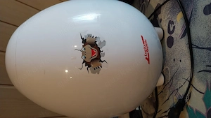 Brüterei für Reptilien 