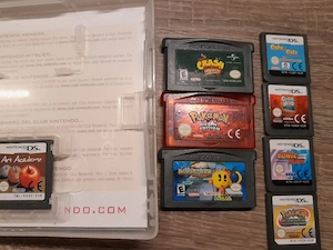 Nintendo DS Spiele