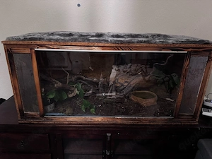 Terrarium mit Boa und Zubehör