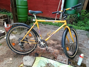 Jugendfahrrad Hercules