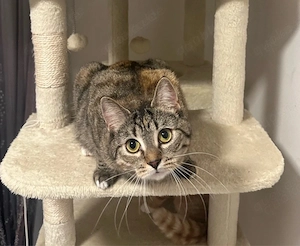 Babsi sucht ein Zuhause