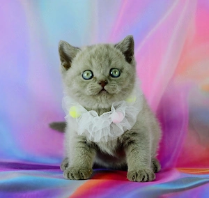 Ich biete ein Ergebnis, keine Versprechen!