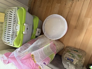 2 Chinchilla Weibchen abzugeben