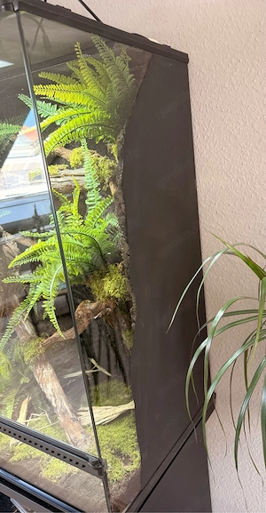 Terrarium Exo Terra 90x45x90 Bild 4