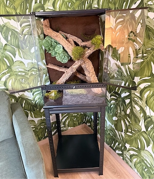 Terrarium Exo Terra 45x45x60