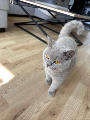 BKH 18 monat alt und 6 monat alt