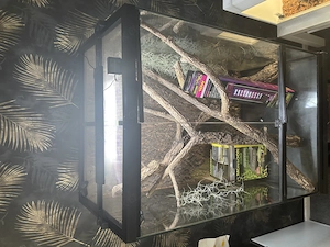 Exo Terra Paludarium Pro Komplettset (60x45x90)