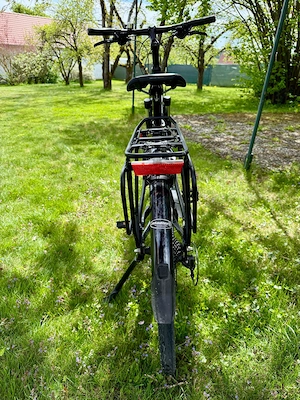 Fahrrad Pegasus Premio CL Comfort Size 45 cm, Damen, universal Bild 4
