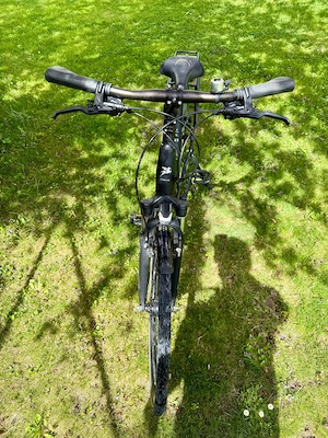 Fahrrad Pegasus Premio CL Comfort Size 45 cm, Damen, universal Bild 3