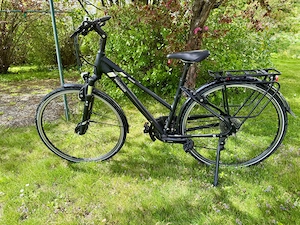 Fahrrad Pegasus Premio CL Comfort Size 45 cm, Damen, universal