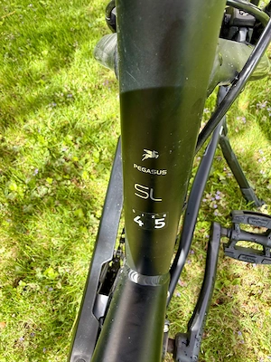 Fahrrad Pegasus Premio CL Comfort Size 45 cm, Damen, universal Bild 9