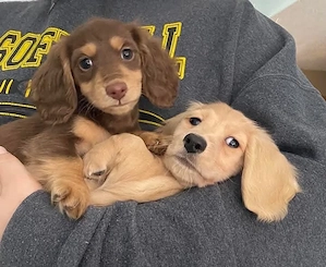 Heute gibt es 35 % Rabatt! Verpassen Sie diese Chance nicht. Schreiben Sie mir gern auf WhatsApp   