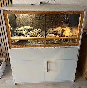 Terrarium mit Schrank 