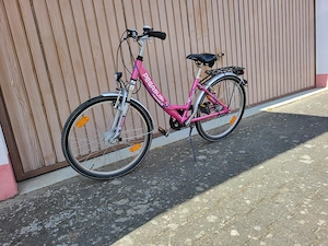 Kinderfahrrad PEGASUS