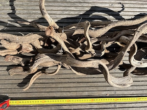 Terrarium Zubehör: Kunststoffpflanzen, Lianen, Mangrovenholz