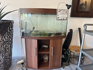  Aquarium mit unterschrank wenn nötig 