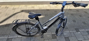 Pedelec Trekkingbike