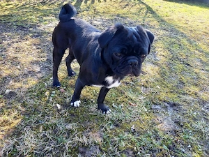 Wir suchen ein liebevolles Zuhause für