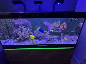 Ehem Inspiria 530 mit Besatz 