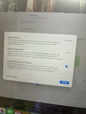 Macbook Air 13 inch M 1 Prozessor 2020 Akkuleistung jetzt bei 96% Bild 3