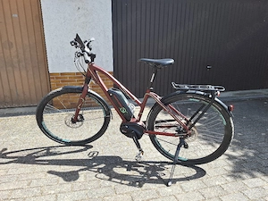 E Touren u. Trekkingbike Tiefeinsteiger