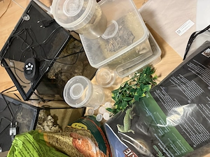 Terrarien und  Zubehör Bild 2