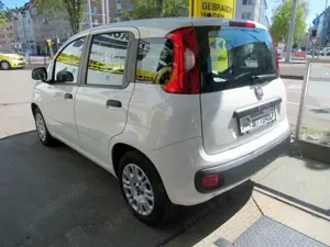 Fiat Panda Bild 3