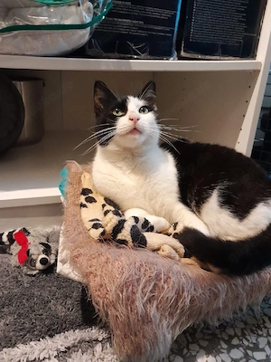 Zoe sucht ihre Dosenöffner 